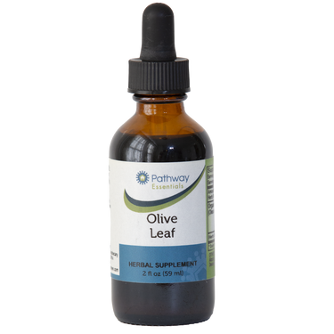 Olive Leaf - Village Green